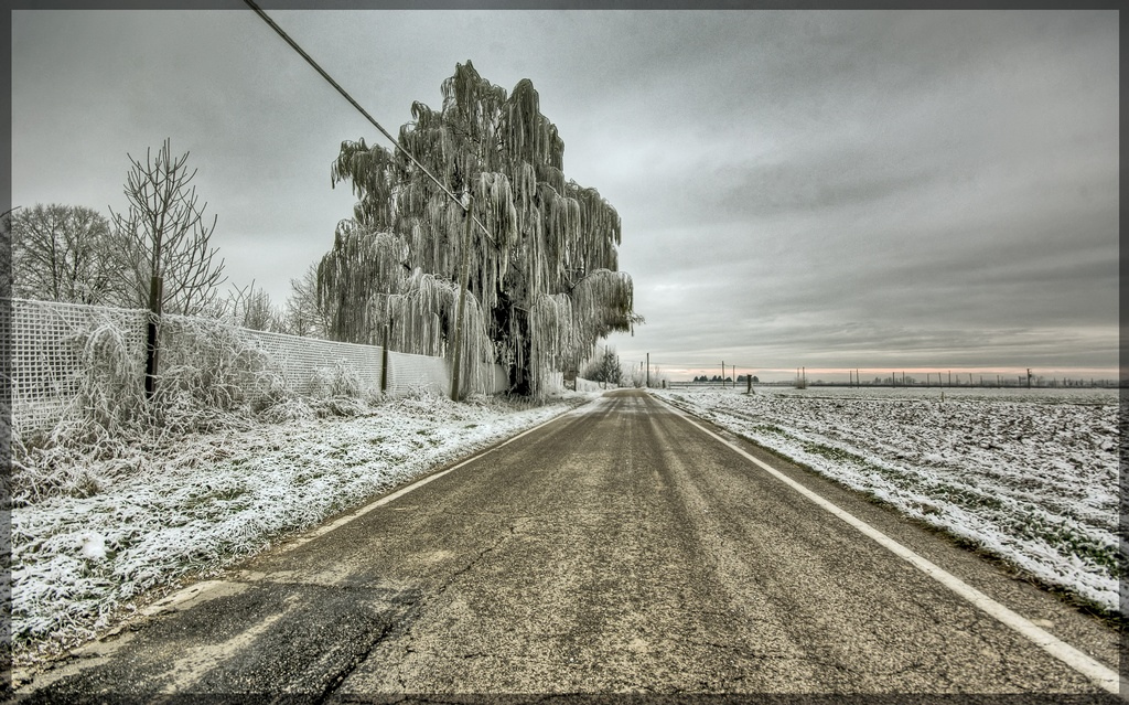 凍結した道路